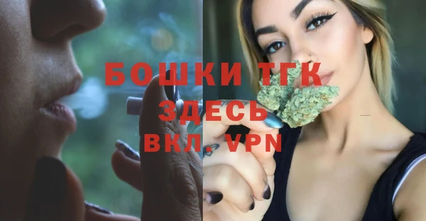 дурь Арсеньев