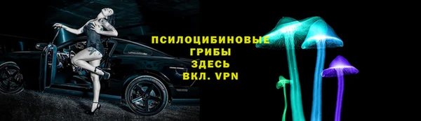 дмт Аркадак