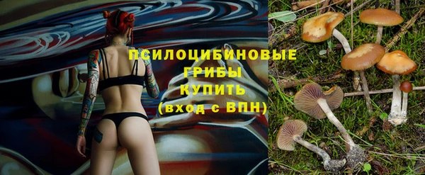спиды Армянск