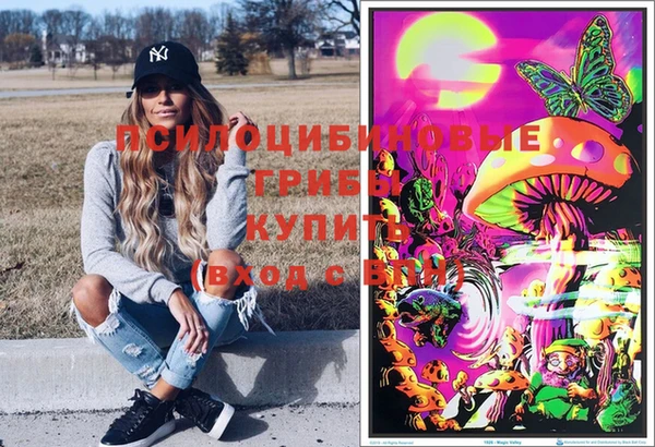 дмт Аркадак