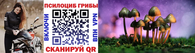 Галлюциногенные грибы Psilocybine cubensis  Спас-Деменск 